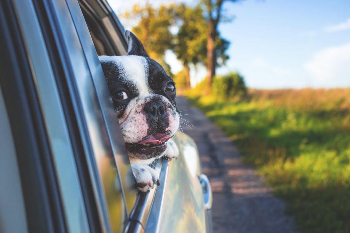 Indiana Auto Insurance Quote